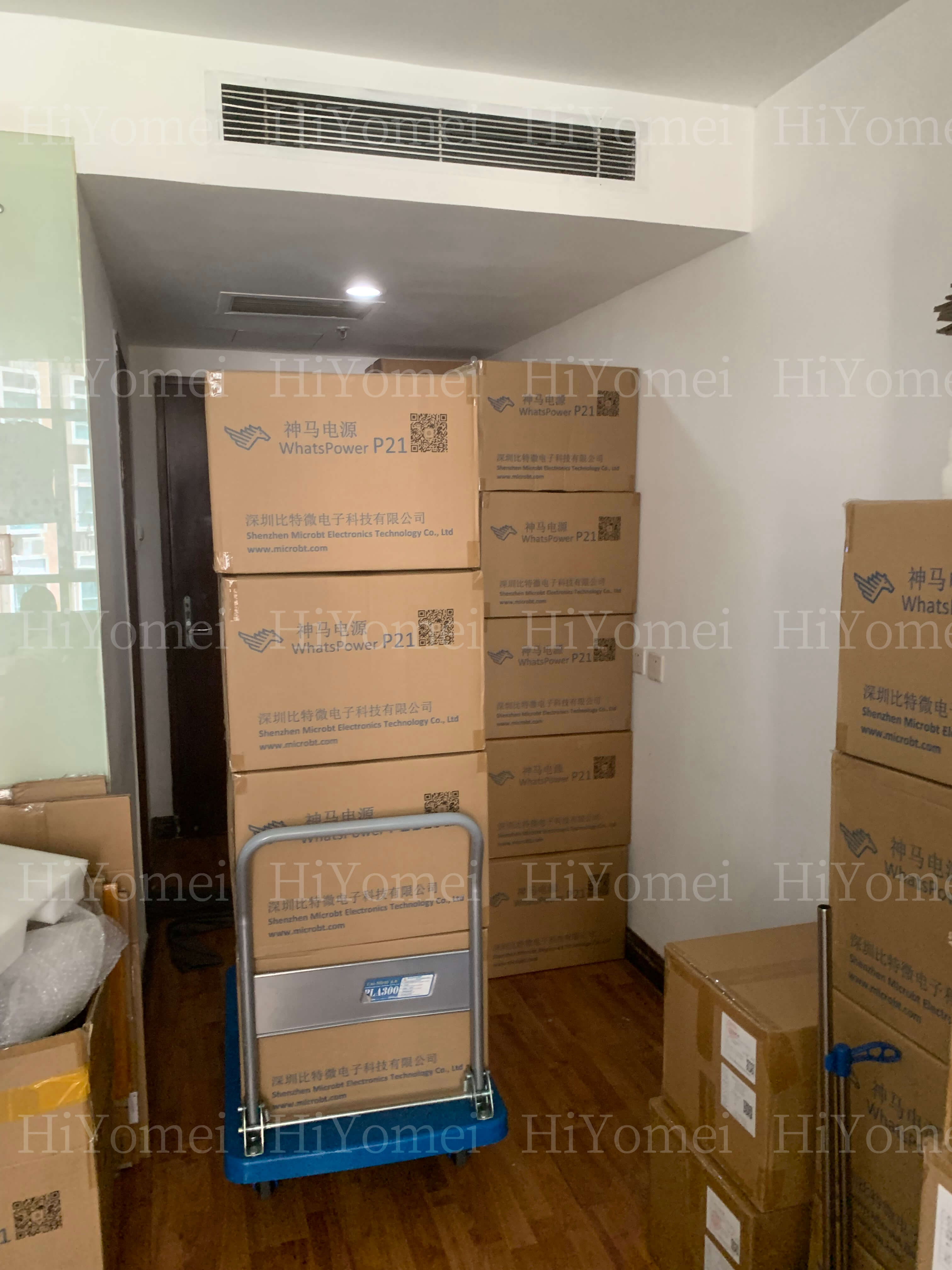Whatsminer P221C