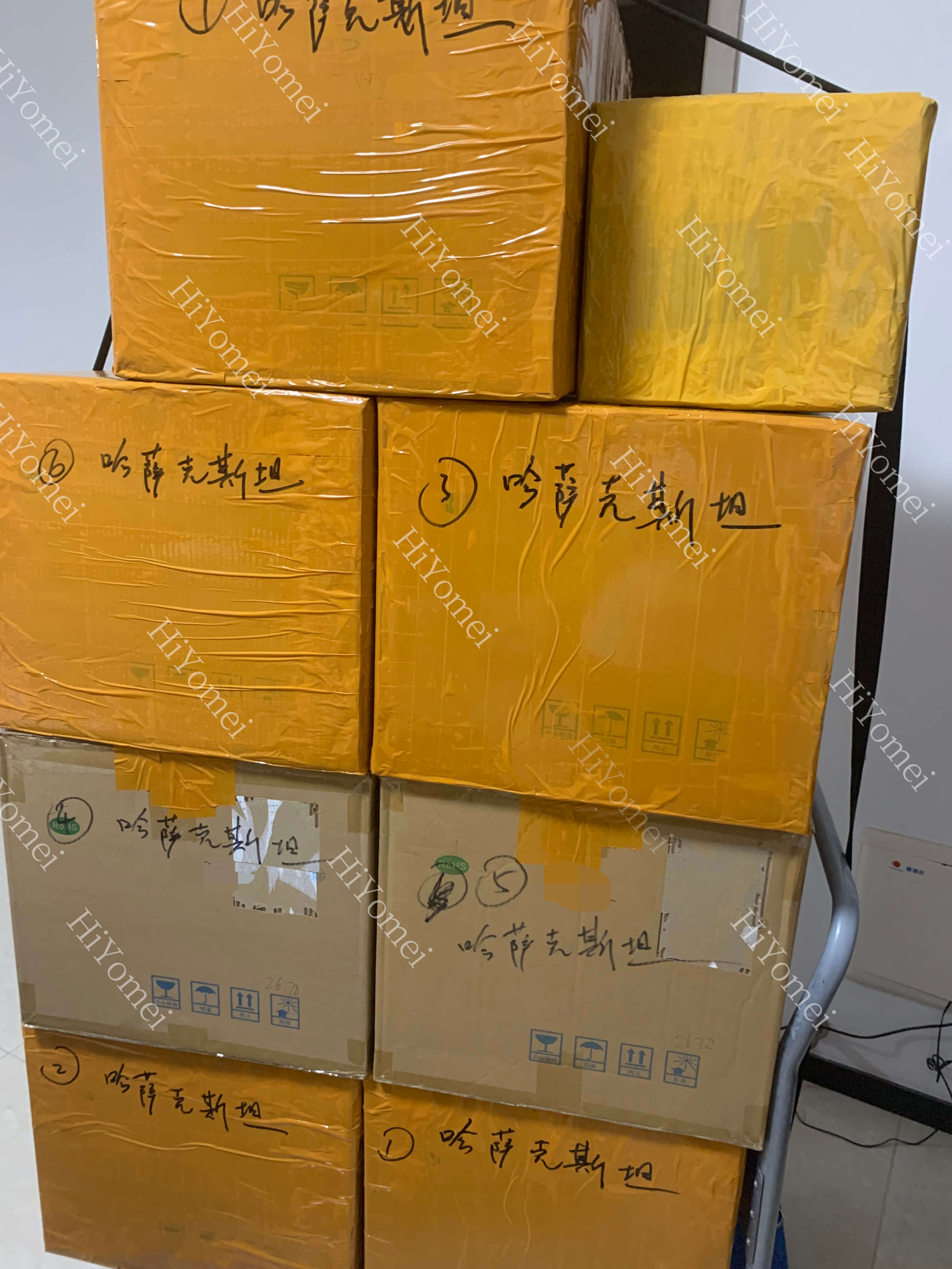 Goods destined for Kazakhstan